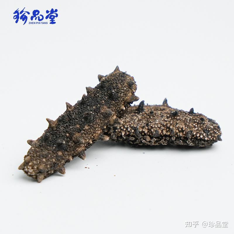 有没有简单实用的挑选海参的方法 - 知乎