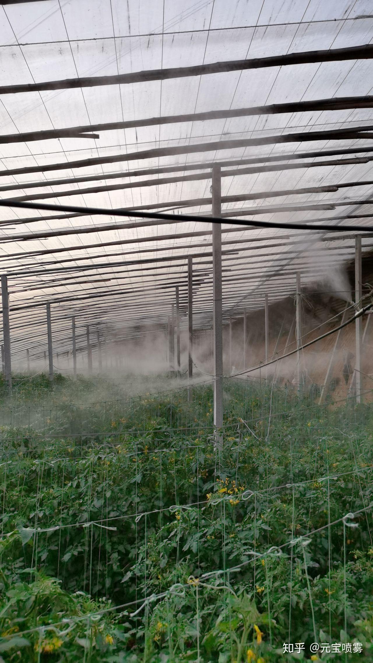 大棚自动打药机