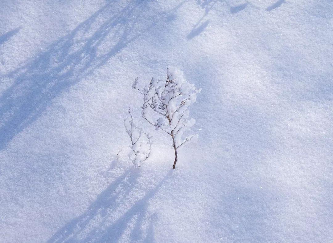 深入分析雪花形状
