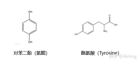 4br化学结构式从4br的结构来看,属于间苯二酚类衍生物,跟酪氨酸结构