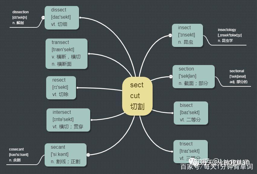 每天1分钟背单词 词根 sect - 知乎