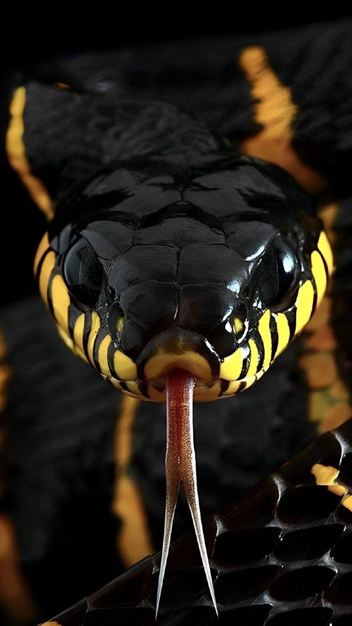 【被窝段子20230129】人贵在先行正视自己的阴暗面