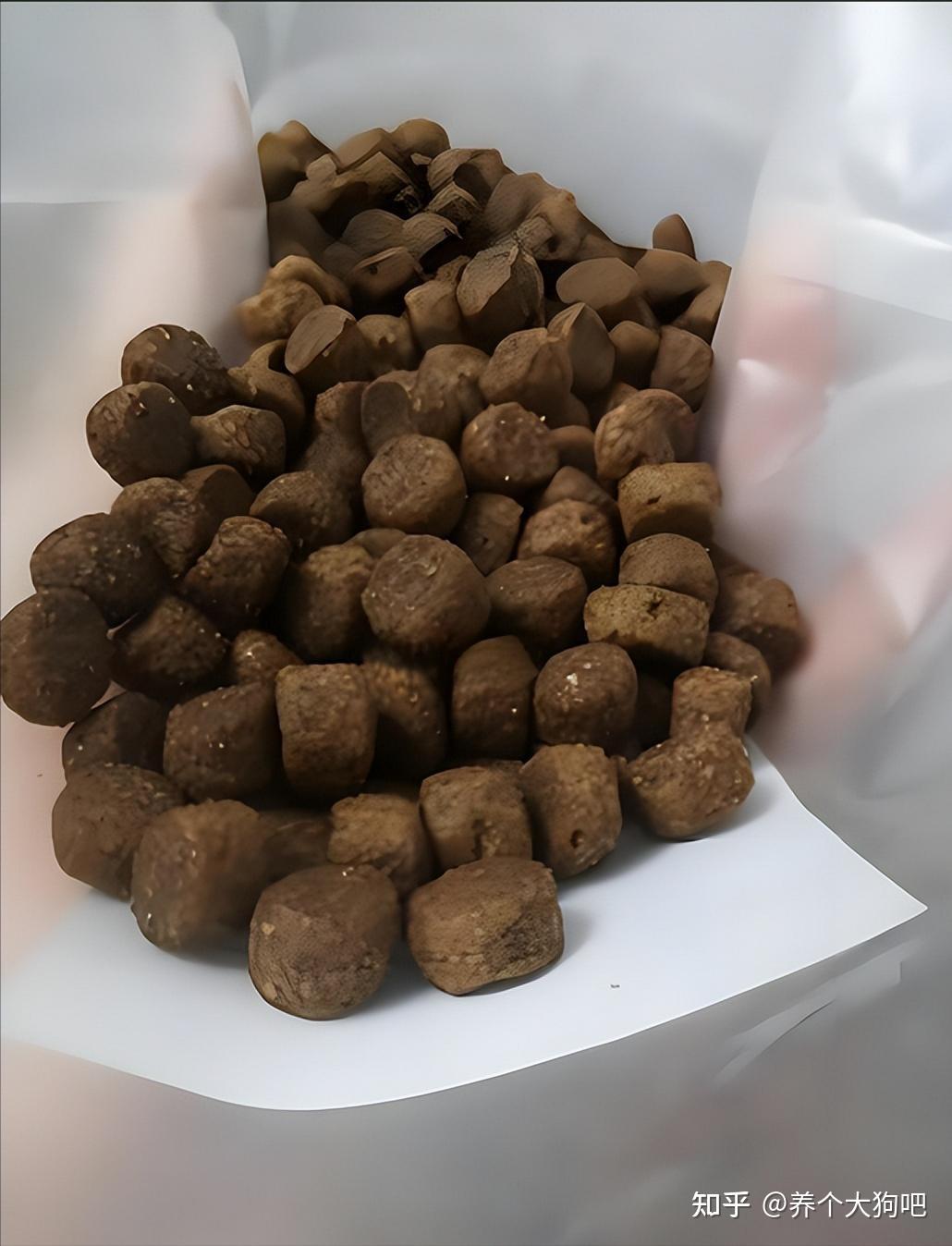 哪些狗粮口碑好?高口碑品牌狗粮推荐 - 知乎