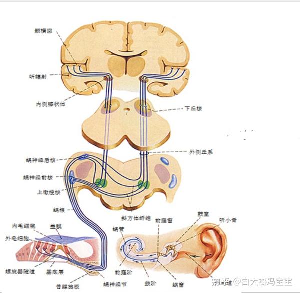 从视觉到听觉的盛宴