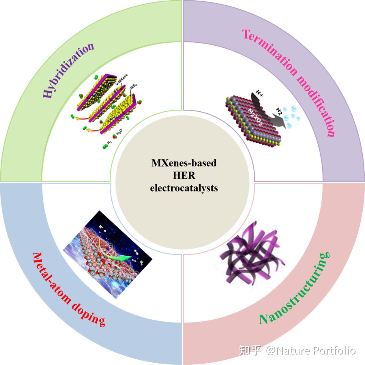 MXenes作为析氢反应电催化剂的最新进展 npj 2D Materials and Applications 知乎