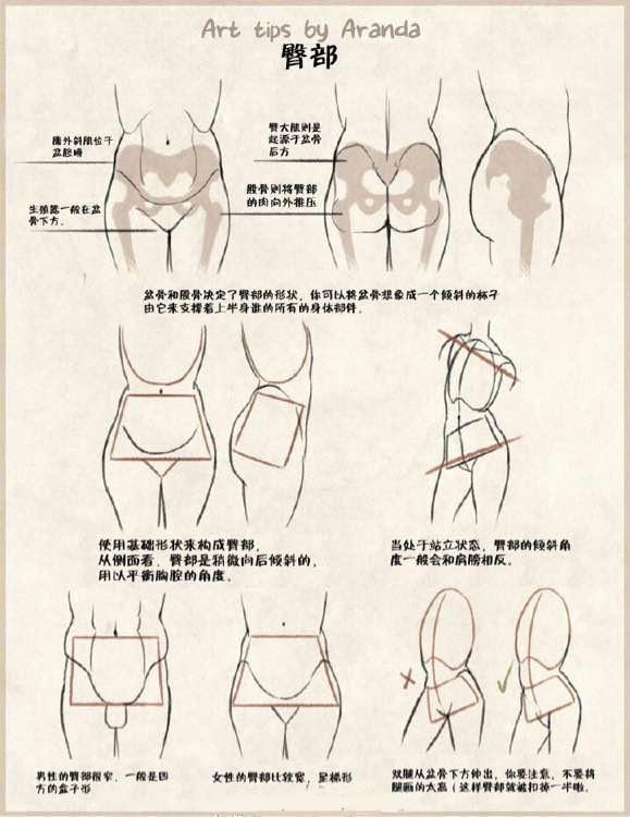 人体绘画带你攻克人体臀部动漫绘画难点