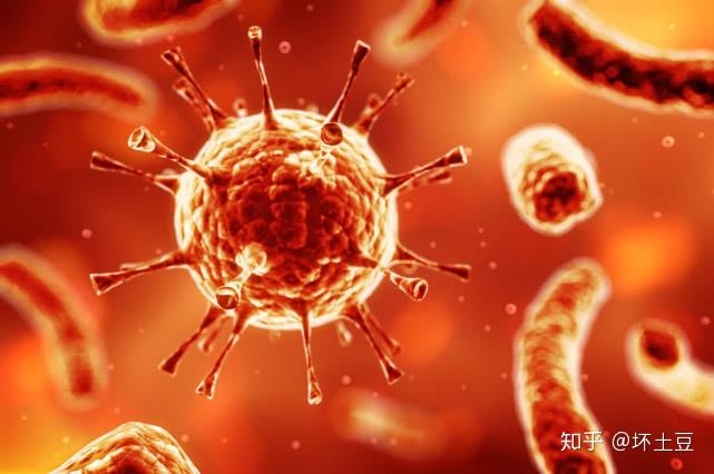 夺走5000万人性命的西班牙流感为什么快速消失