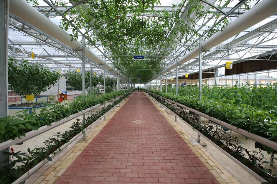 由原始温房到光伏温室 看农业温室的进化史