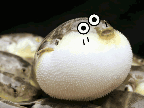 如何评价 iphone 8,iphone 8 plus?