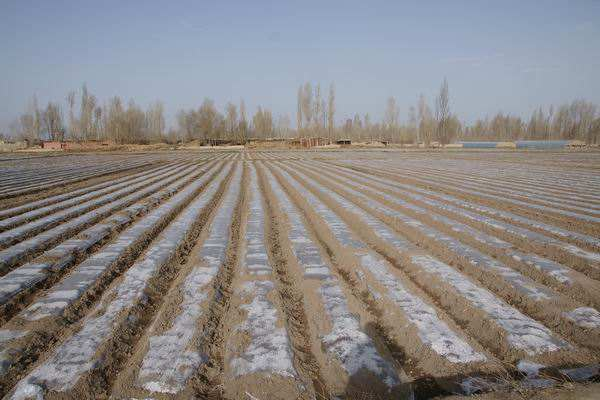 中国人在周朝就开始垄作耕种了,地球上其他文明好不容易学会耕种,也是