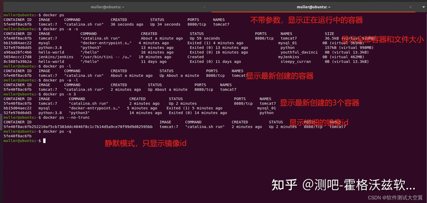 掌握 Docker PS 命令：轻松管理容器 - 知乎
