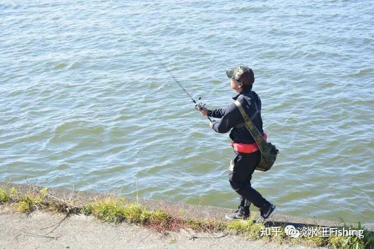 路亚·技能丨琵琶湖当红导钓使用巻物挑战霞ヶ浦水系（中）【永野总一朗】 知乎