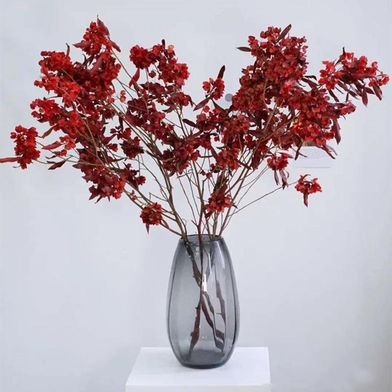 年宵花考虑一下迎客豆吧.图片来自网络,侵删