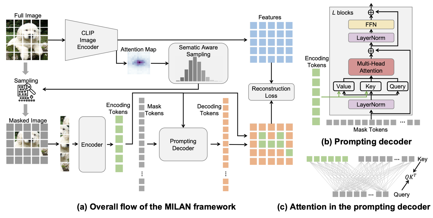 Mask Autoencoder 各类变体 - 知乎