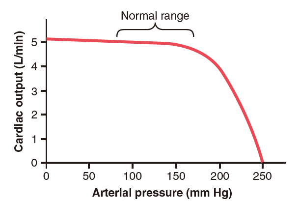 心脏3|心脏功能的调节——血液,神经,离子和温度 - 知乎