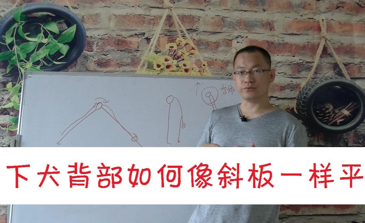 下犬式容易弓腰拱背 如何做到背部像平板一样直呢 - 知乎