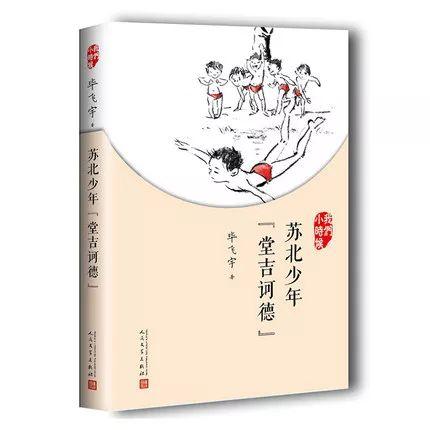 怎么评价毕飞宇的《苏北少年堂吉可德》这本