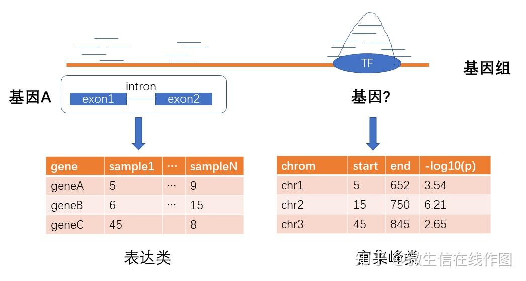 使用ChIPSeeker进行ChIPseq， ATACseq，cut&tag等富集峰的基因组注释 知乎