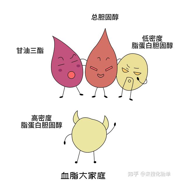 体检查出高血脂,血脂化验单四项指标应该这样看! - 知乎