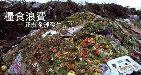 这些垃圾大部分都堆积成山,香港每天要铲除3600公吨厨余垃圾,是因为他