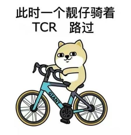 2024最新搞笑沙雕斗图-骑行表情包素材第3期