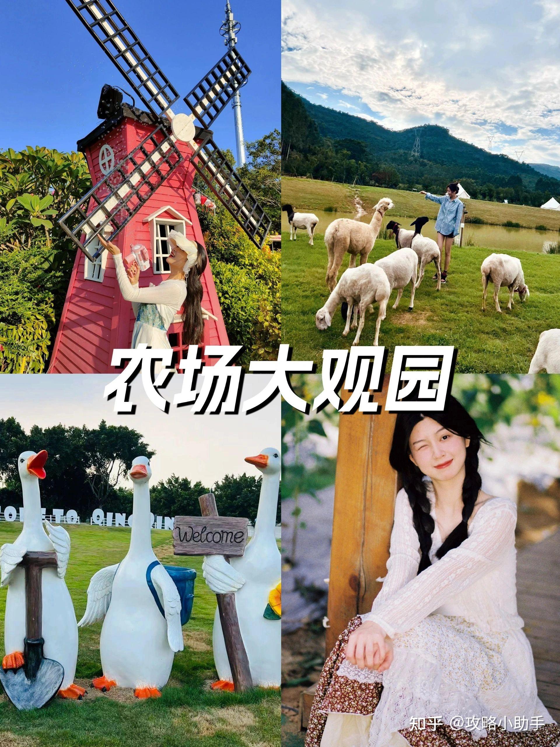深圳光明周末去哪玩？ - 知乎
