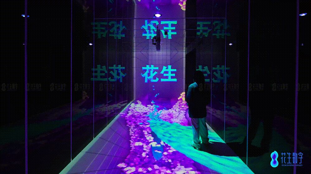 花生数字 | 沉浸式展厅2.0升级,超震撼裸眼3D视觉! - 知乎