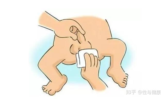 男宝宝小鸡鸡私处护理以及有关小鸡鸡的问答