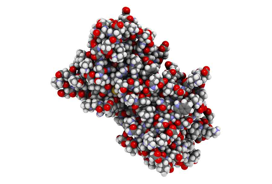 《国际健康科学杂志》超氧化物歧化酶(SOD)的治疗潜力 - 知乎