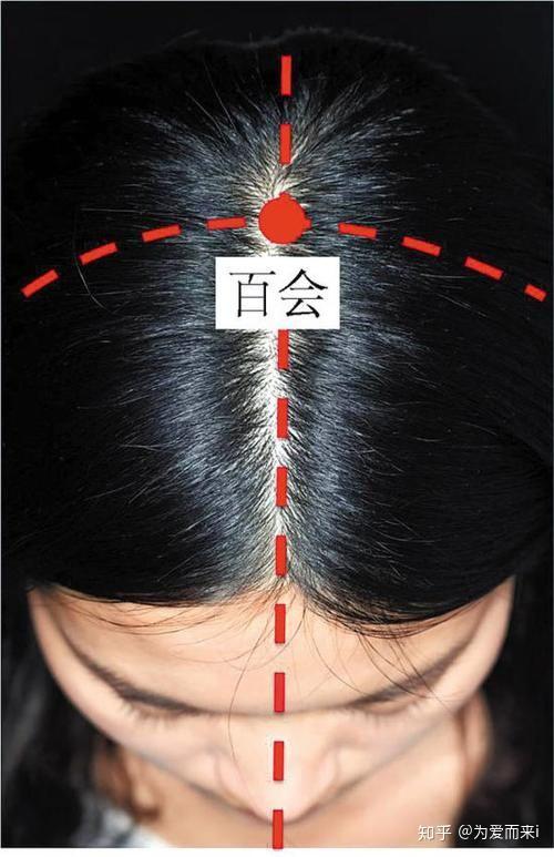 百会穴,健忘、头痛一按即好转,养生要穴 - 知乎