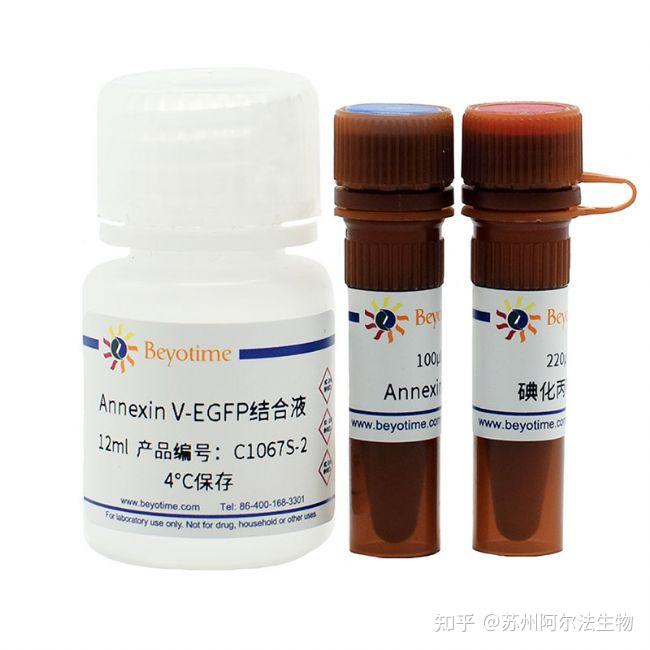 细胞凋亡实验步骤 - 知乎