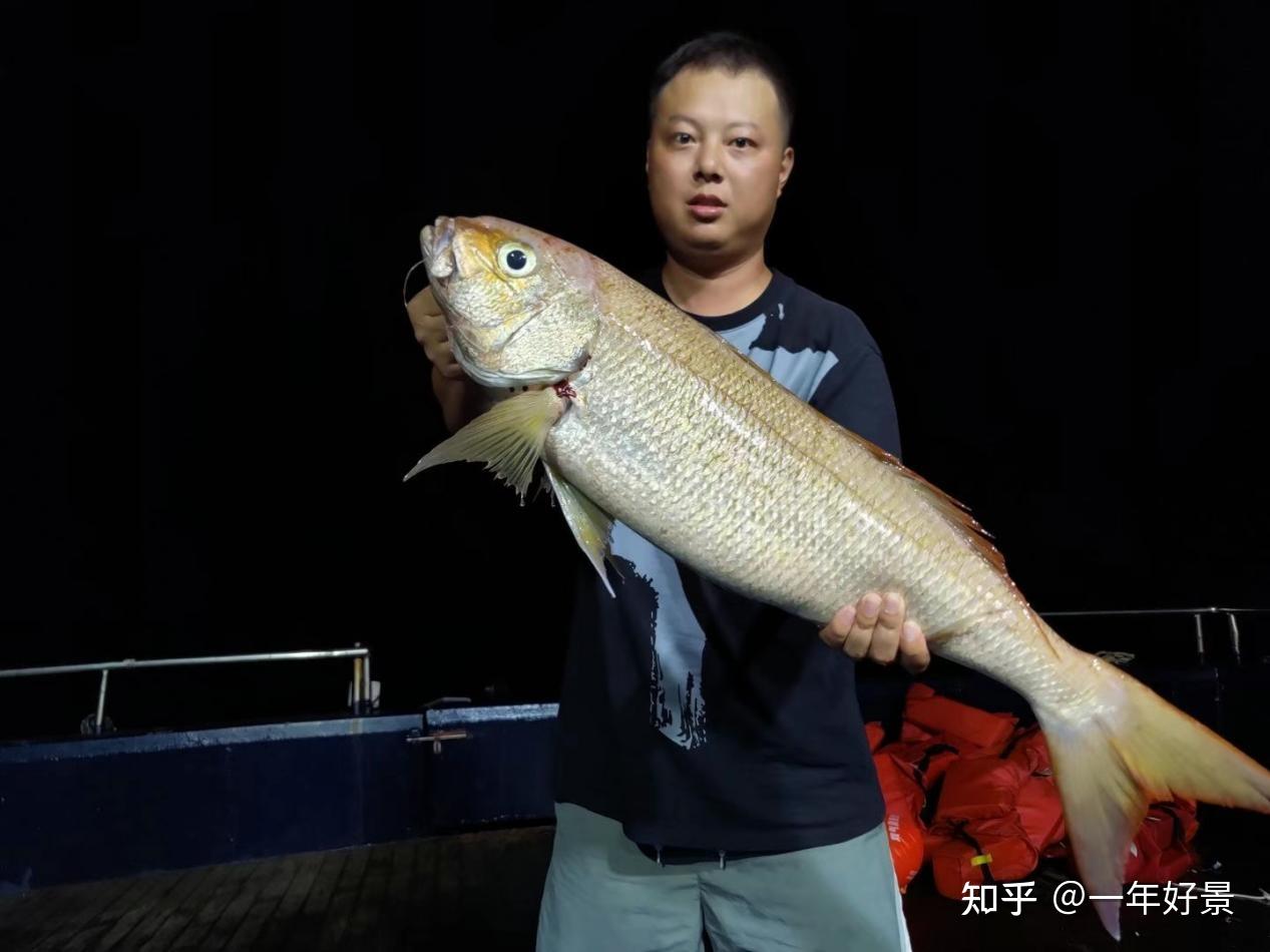上钩一条黄色的鱼,拉上来都在问船员这是什么鱼,黄金歌利,唉,就是一个