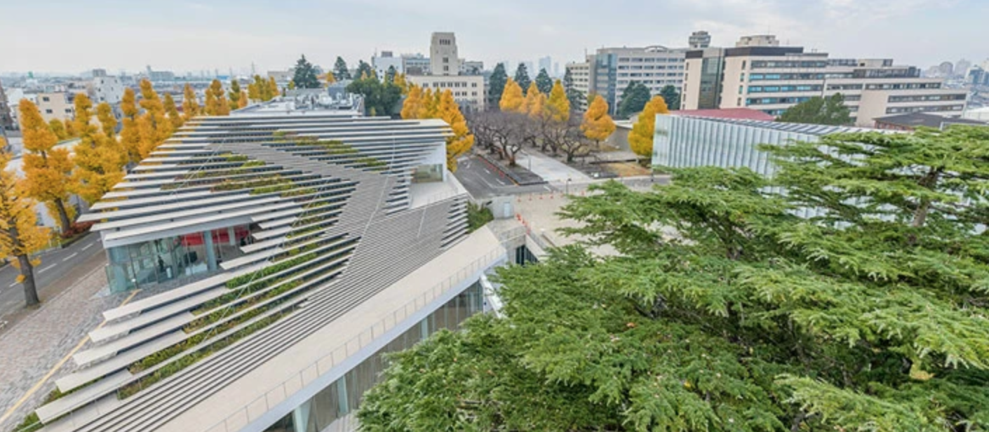 新领域合格访谈实录5 陆同学 东京工业大学システム制御系 大阪大学情报科学研究科情报数理 知乎