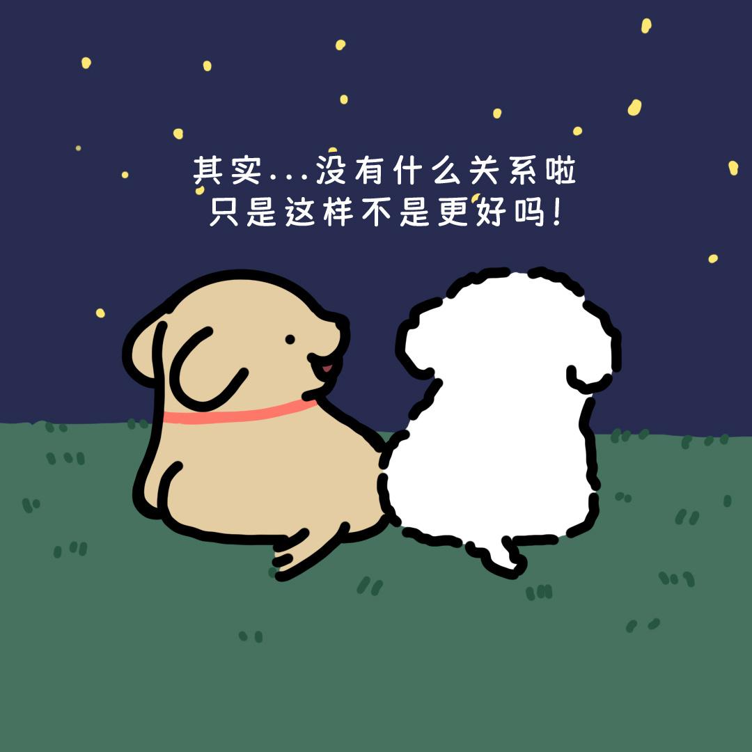 小狗头像合集 - 知乎