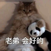 北海