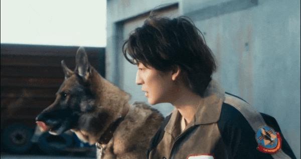 《少年与犬》好厉害！狗狗电影竟然拍出了苦难人间