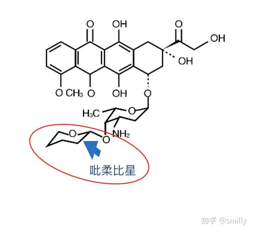 蒽环类图片