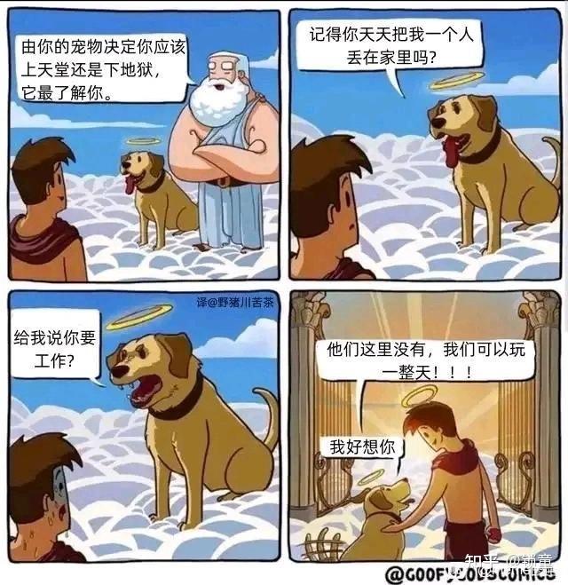 保存下meme(1) - 知乎