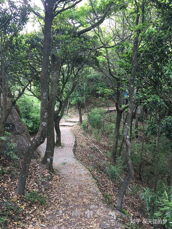 文人墨寶,爬上羅浮山,我們就好像在學習它的地理,歷史和文學地位