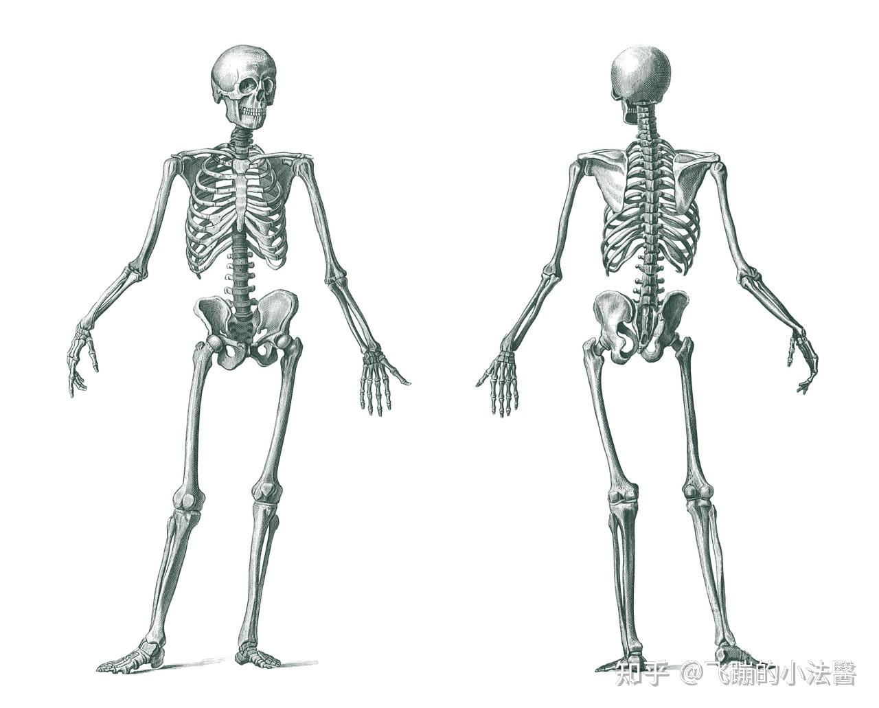 人身损害与疾病因果关系判定指南