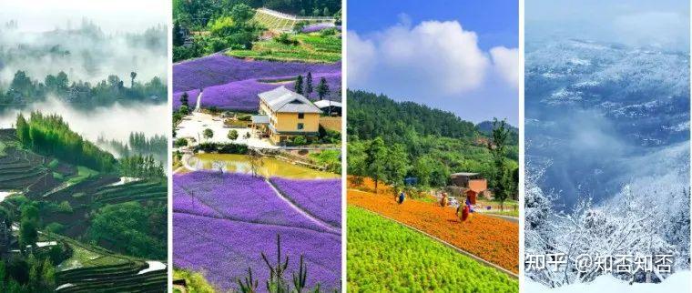 春花秋月,夏风冬雪,带你领略万州凤凰花果山四季之美!