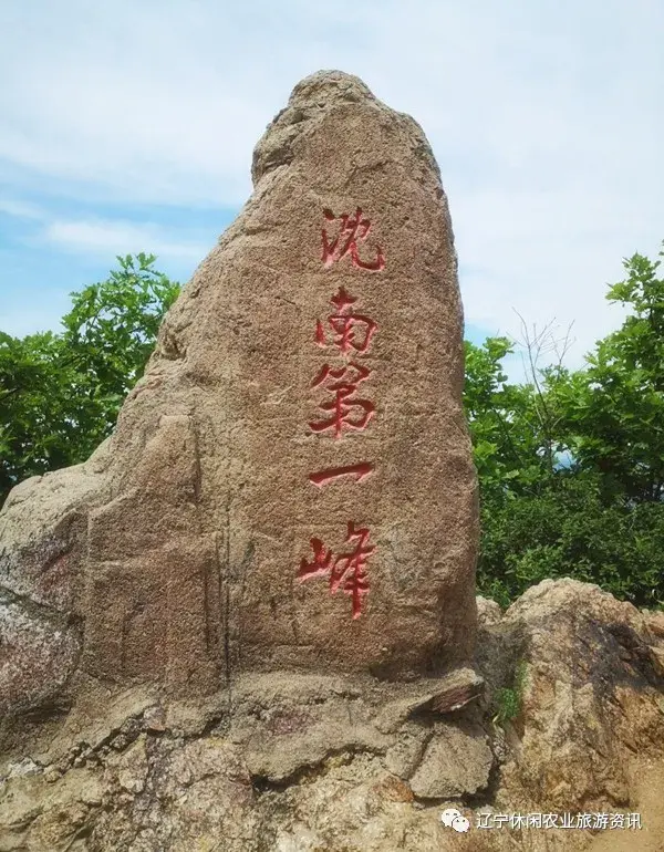 2020年省级重点村苏家屯区白清姚千街道马耳山村