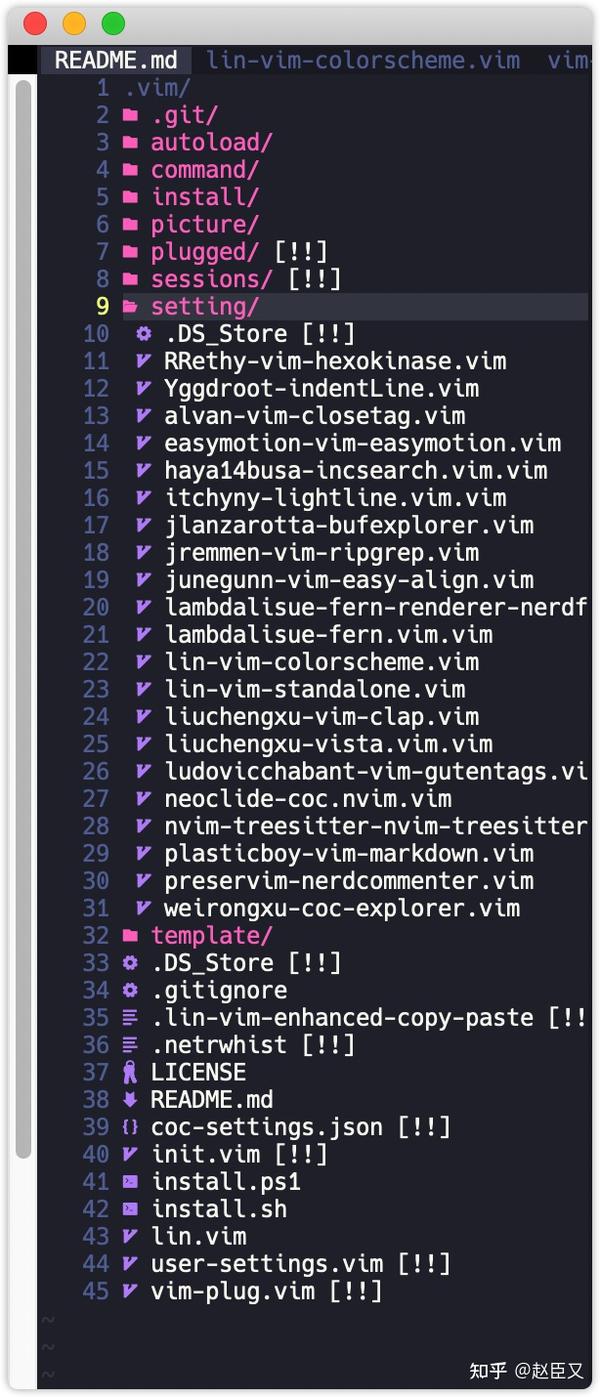 可能是最适合主流用户的(Neo)VIM开箱即用发行版 - 知乎