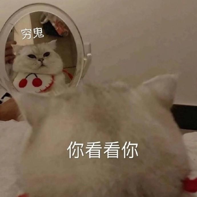 拽文案沙雕文案,拽拽的沙雕文案