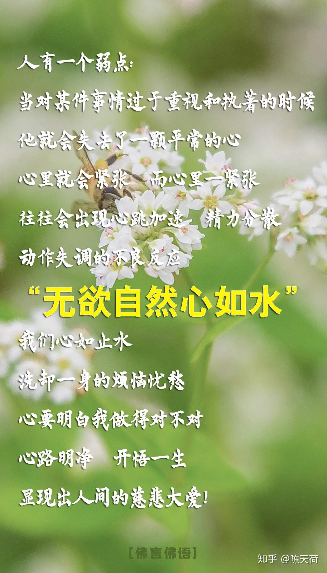 41566. 清澈,意念清明,意念很干净.