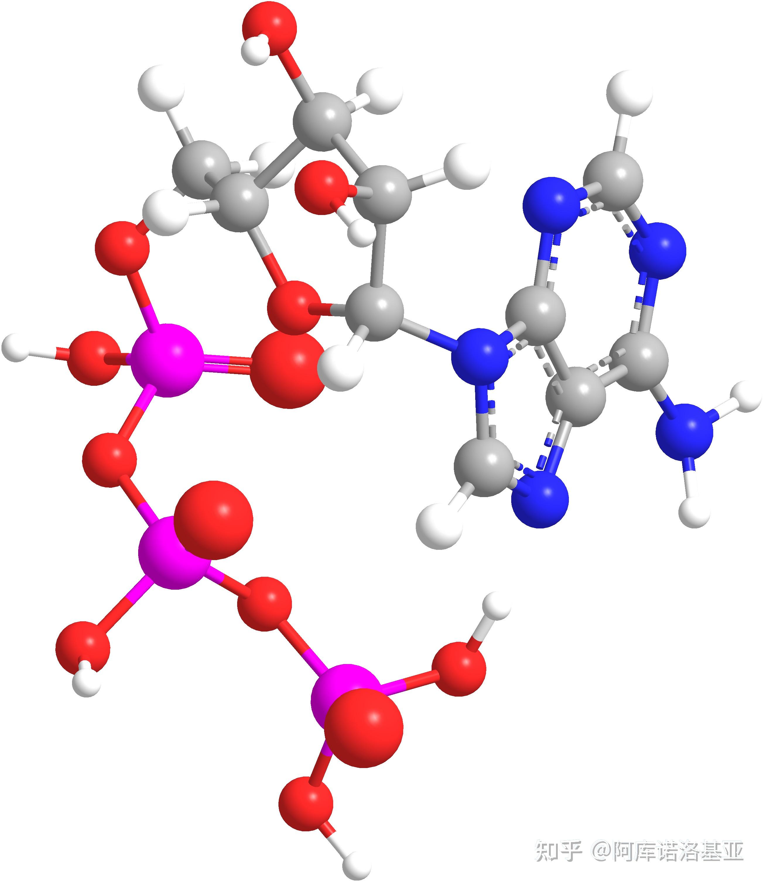 实践：使用Chem3D优化ATP分子结构Practice: Optimize ATP molecular structure using ...