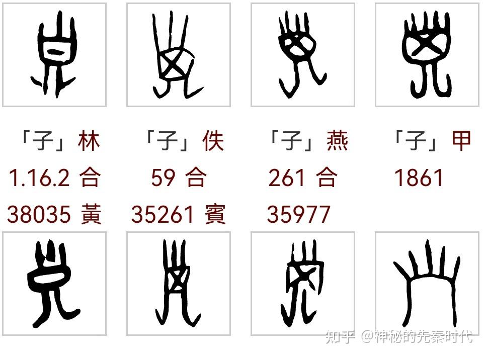 「子」字的甲骨文字形是什么?能详细说一下「子」字的演变过程吗?