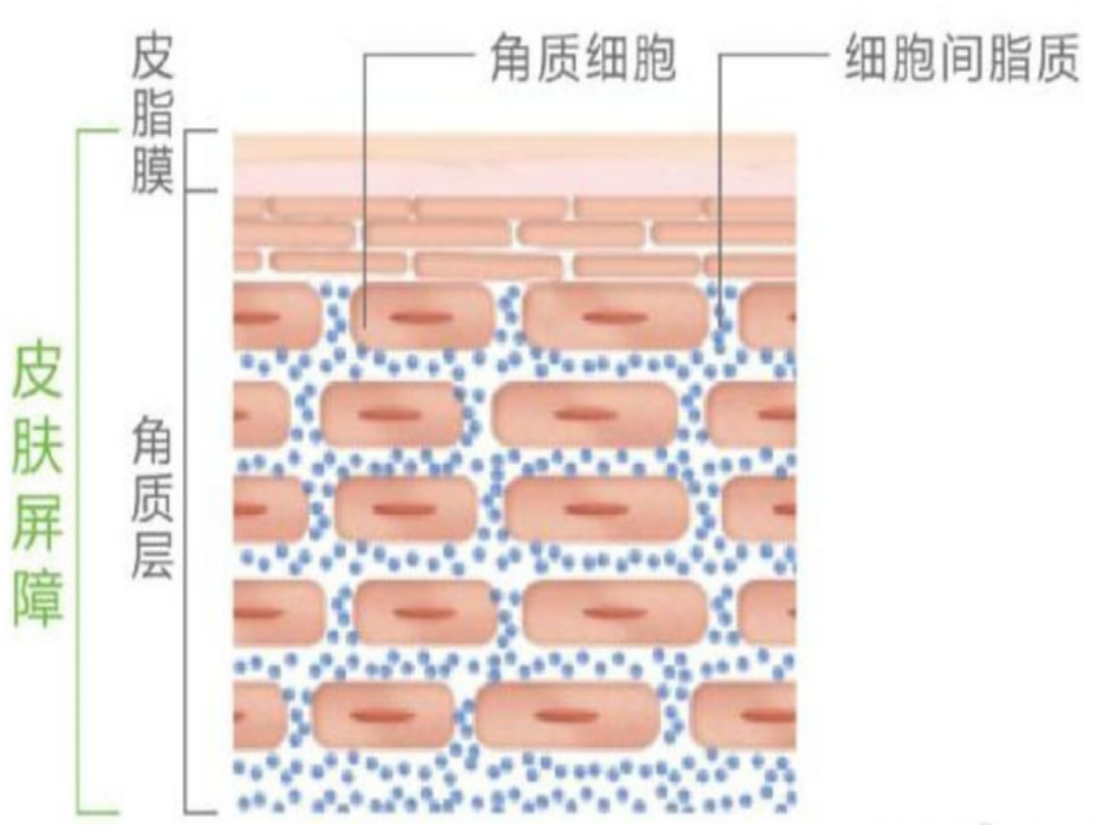 医美百搭设备,舒敏之星。 - 知乎