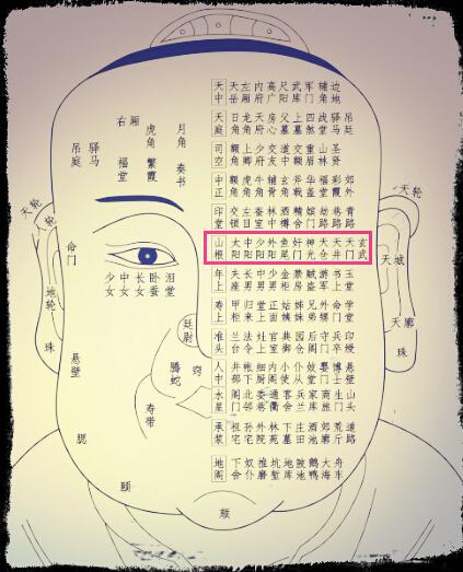 十三部位总图歌·简释