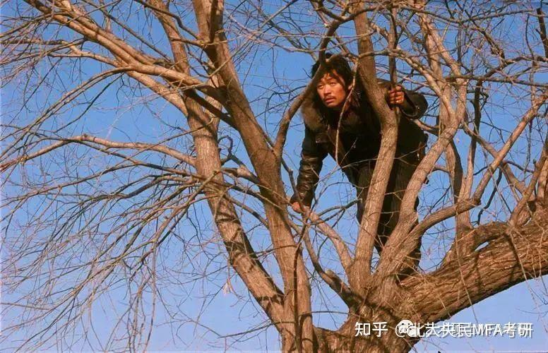 猫哥MFA电影鉴赏《Hello，树先生》 - 知乎